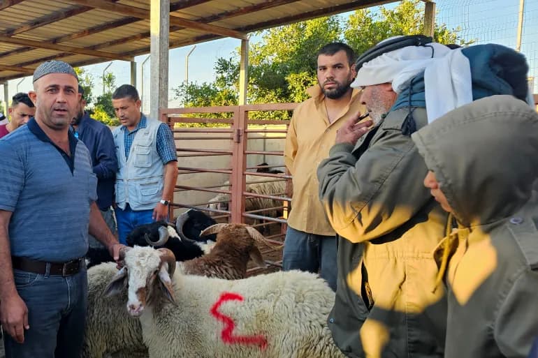 Sacrifices en Cisjordanie occupée… prix élevés et poches vides