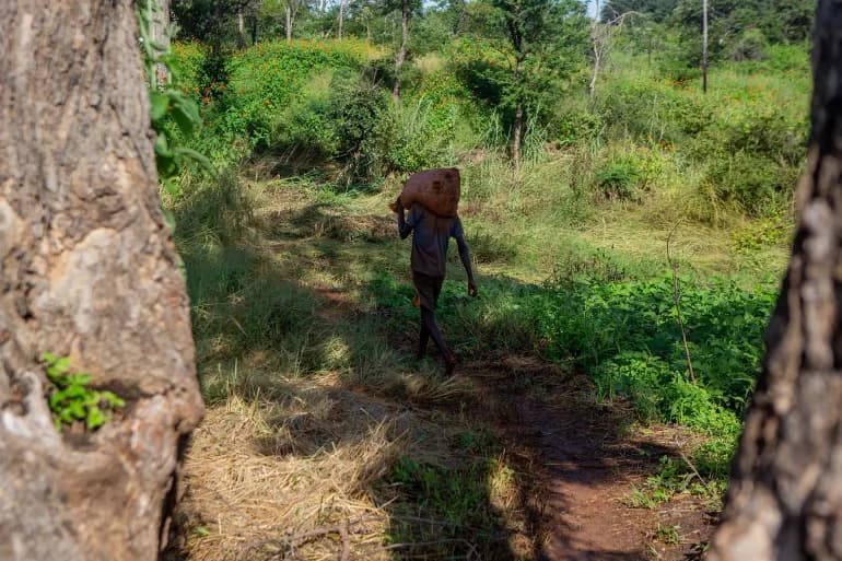 Les mineurs du Zimbabwe ont du mal à rivaliser avec la Chine dans l'exploration du lithium