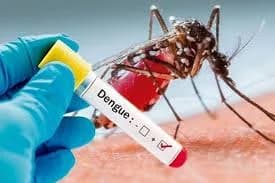 Augmentation des cas de dengue et de maladies liées aux moustiques en Europe