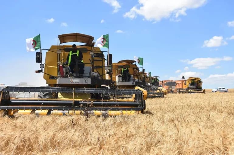 Avec les investissements qatariens et italiens. L'Algérie est-elle autosuffisante en matière alimentaire ?
