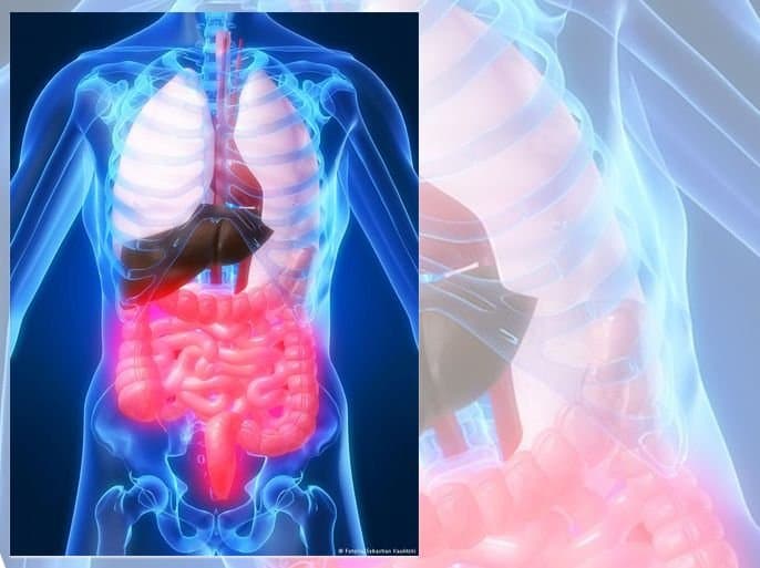 Des robots microscopiques pour traiter les maladies inflammatoires de l'intestin