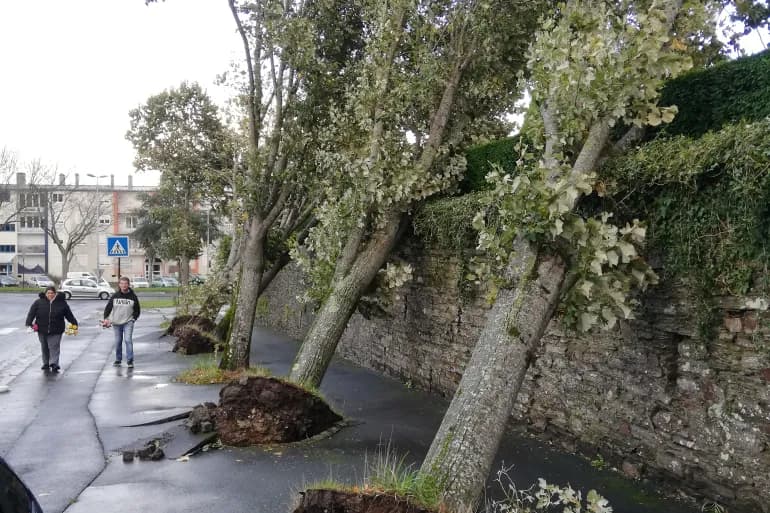 Comment la tempête Ciaran a-t-elle affecté la tasse de thé en Grande-Bretagne ?
