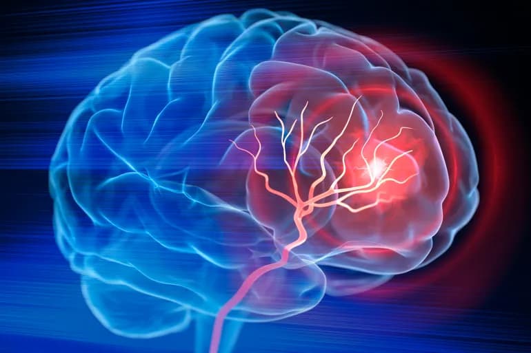 Des scientifiques découvrent comment coder le danger dans le cerveau