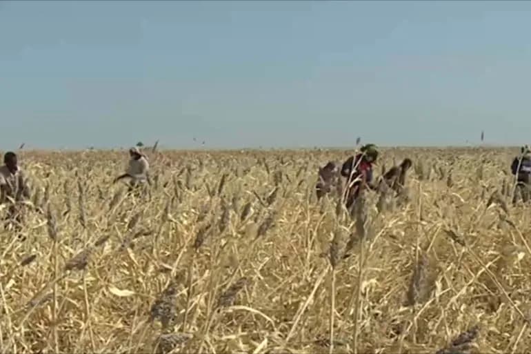 La nouvelle saison agricole sauvera-t-elle le Soudan de la faim et du déficit économique ?