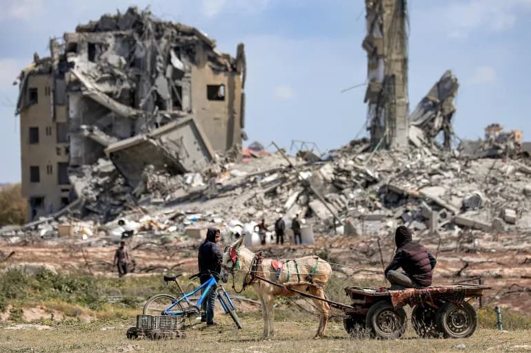 « Contrebande halal » : les habitants de Gaza créent des opportunités de vie et de travail