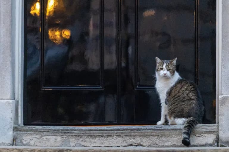 Un nouveau gouvernement britannique… et Larry le chat s'accroche au pouvoir depuis 13 ans