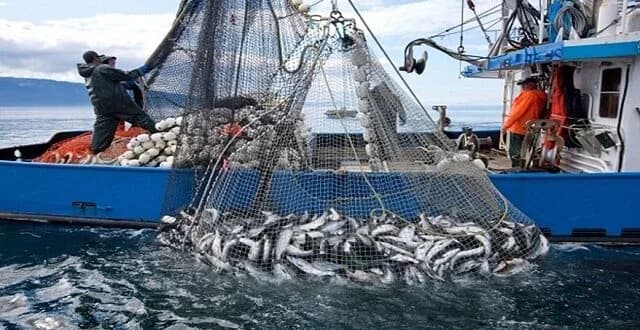 Pêche maritime et aquaculture : Le Maroc et le Japon renforcent leur coopération