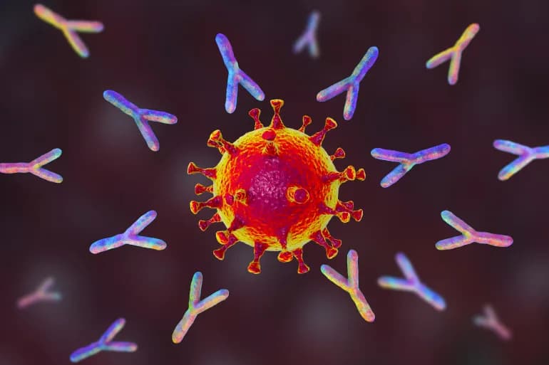 Des chercheurs transforment les cellules immunitaires du corps en petites machines de surveillance
