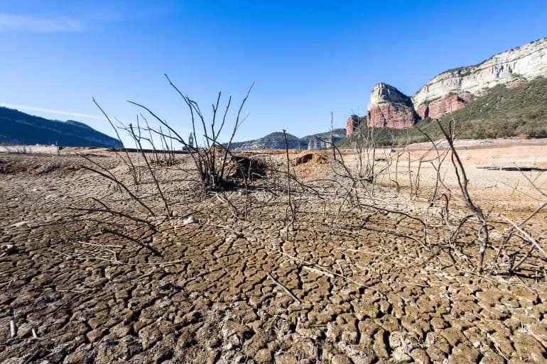 La désertification tue les efforts mondiaux visant à résoudre la crise du changement climatique