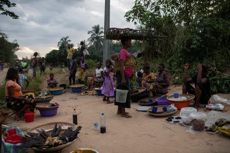 La Santé mondiale déclare l'état d'urgence après l'épidémie de variole du singe en Afrique