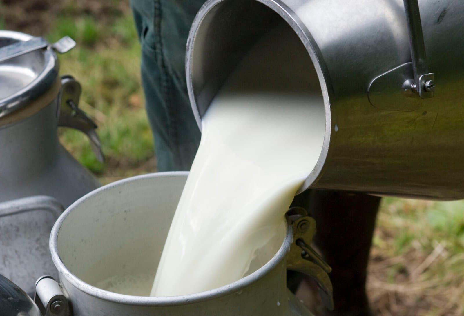 Secteur laitier : La Sécheresse Aggrave la Situation pour les Producteurs!