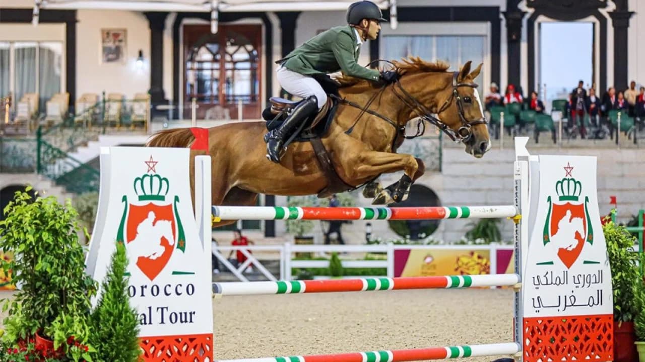 Rabat accueille le concours de saut d'obstacles pour jeunes chevaux