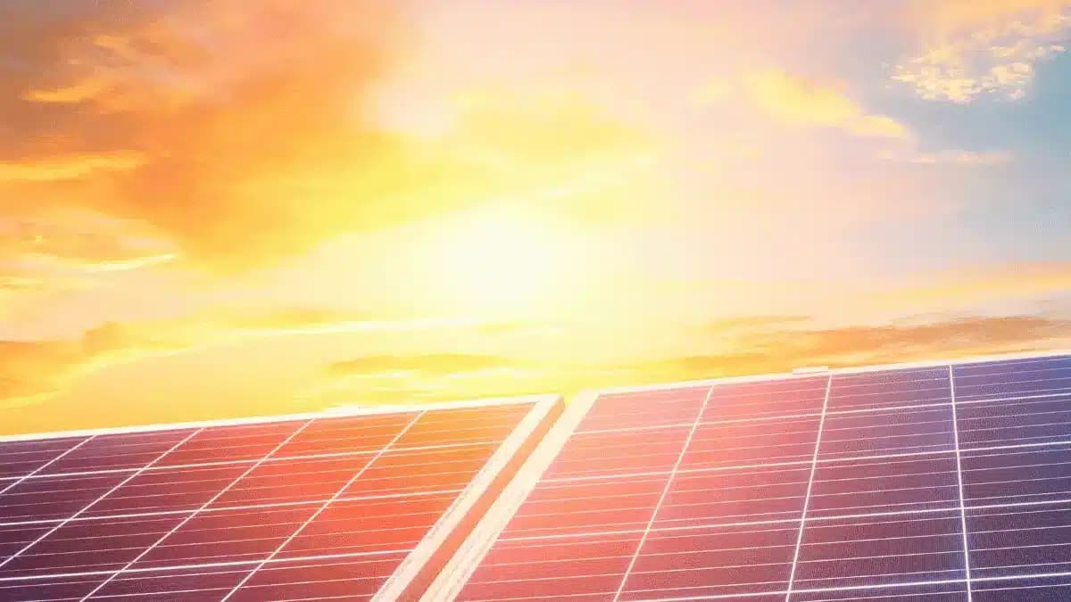 L’énergie solaire atteint un nouveau record mondial en 2024.