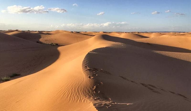 Pluie Rarissime sur les Dunes du Sahara : Un Phénomène Sans Précédent