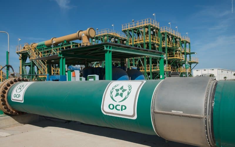 Le Groupe OCP réalise un chiffre d'affaires record