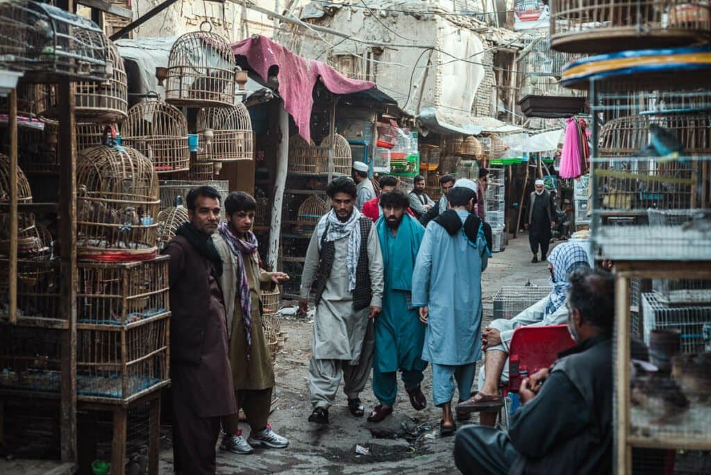 Une amélioration relative de l'économie afghane malgré des défis persistants