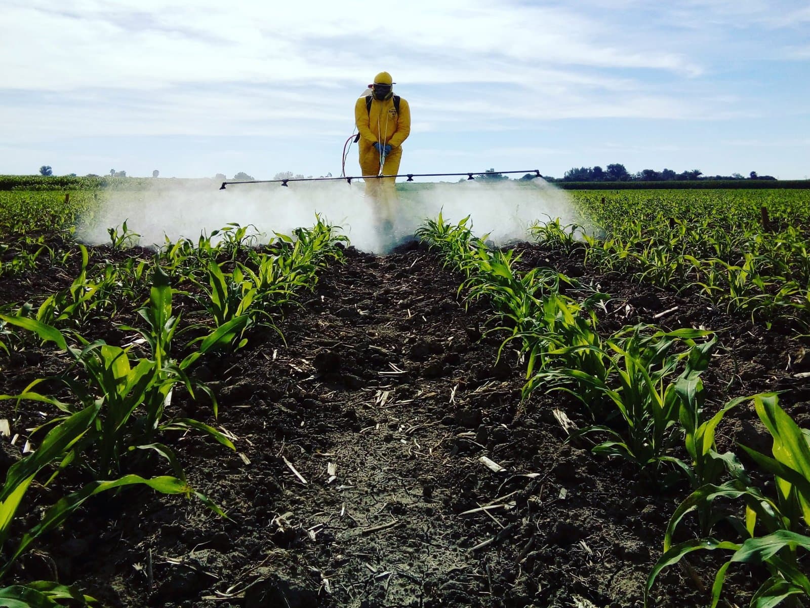 Maroc Montre Légère Augmentation dans l’Utilisation des Pesticides