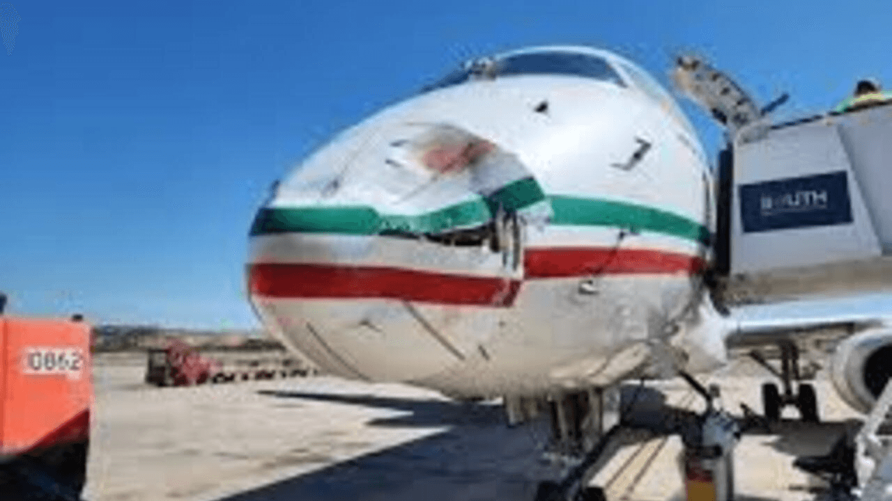 Avion de Royal Air Maroc percuté par un groupe d'oiseaux