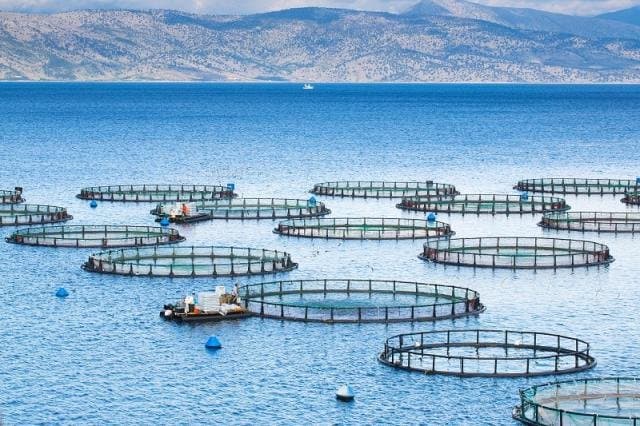 Économie bleue: la Banque mondiale prête 350 millions de dollars au Maroc