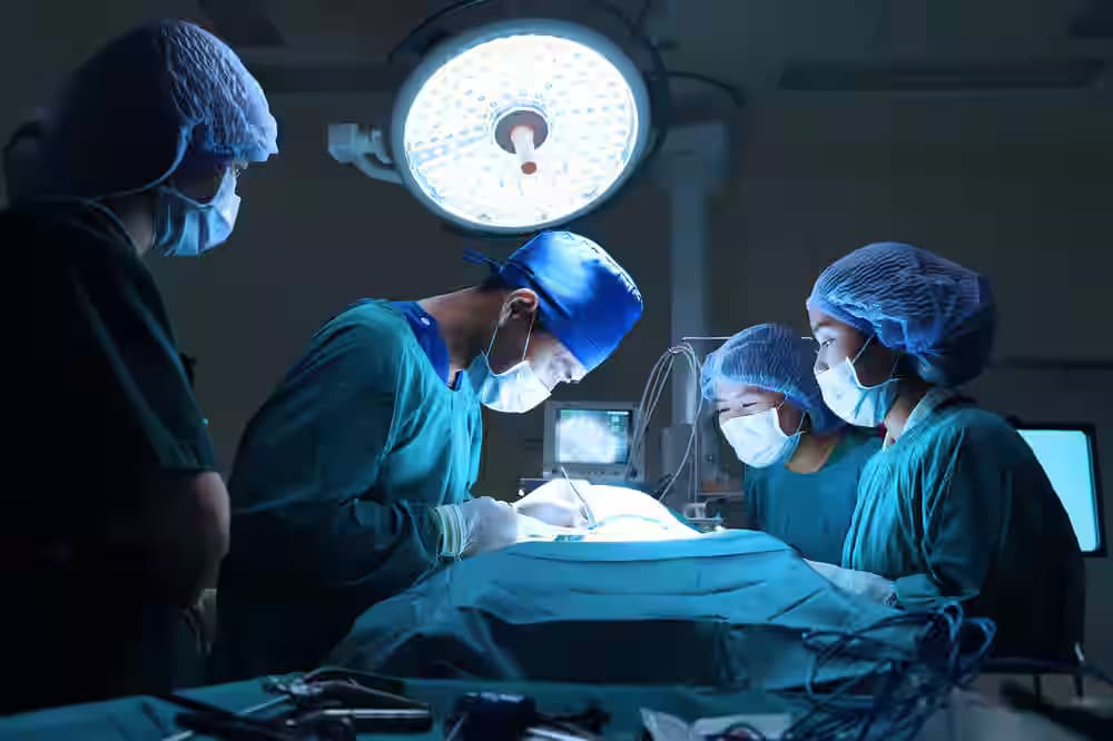 Fils d'araignées artificiels une nouvelle innovation pour soigner les plaies et l'arthrite