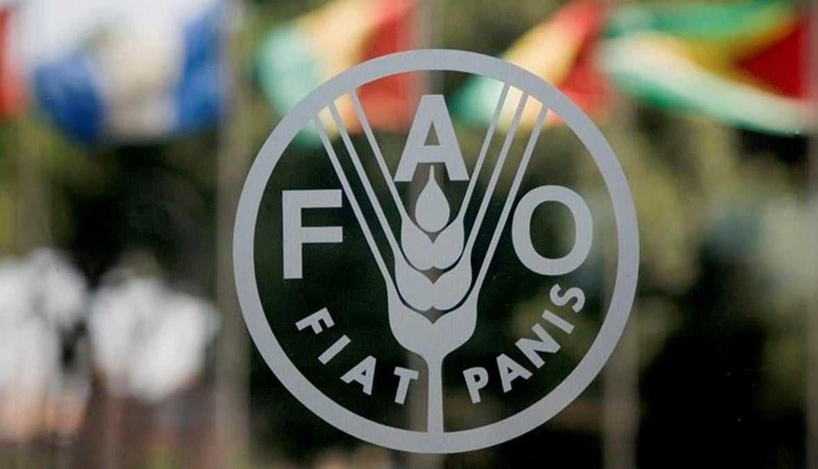 Rome: Lancement du Forum Mondial de l'Alimentation avec la participation du Maroc