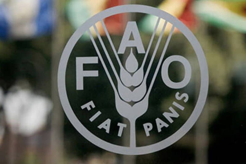 FAO: Augmentation des prix des aliments mondiaux en octobre