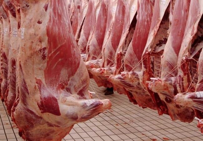 Casablanca: Les prix des viandes ovines s'envolent aux abattoirs