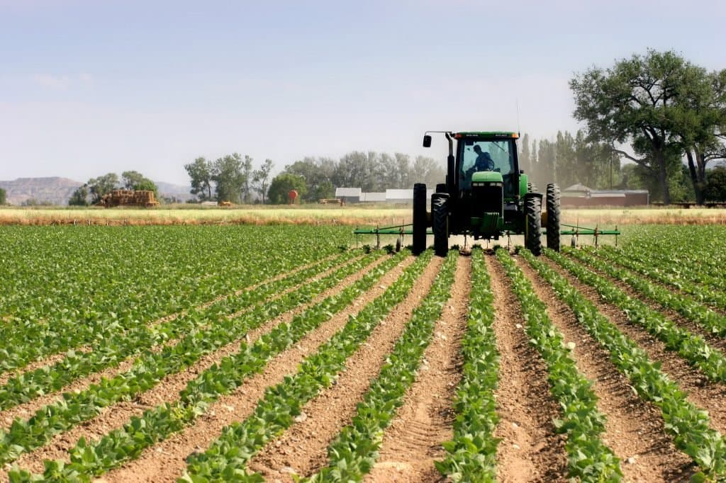 Investissements 2025: 17,27 milliards pour l’agriculture et la pêche maritime au Maroc