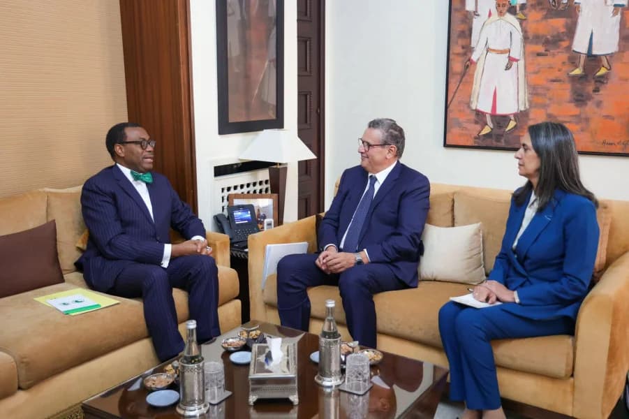 Akhannouch s'entretient avec le Président de la Banque Africaine de Développement