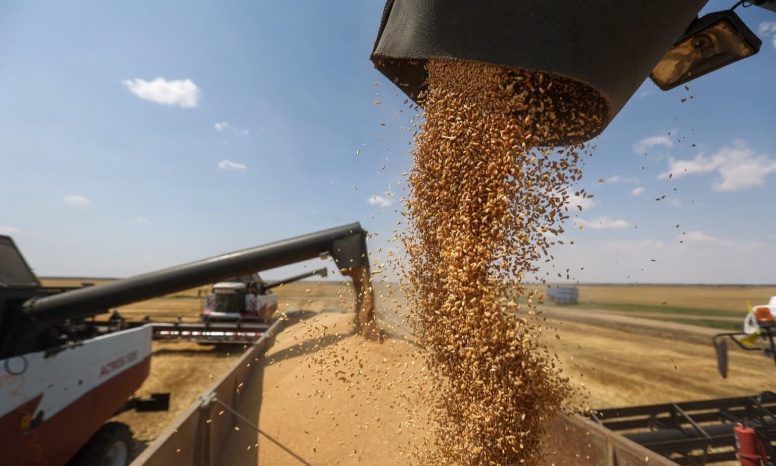 L'Égypte renforce sa sécurité alimentaire grâce aux importations de blé russe