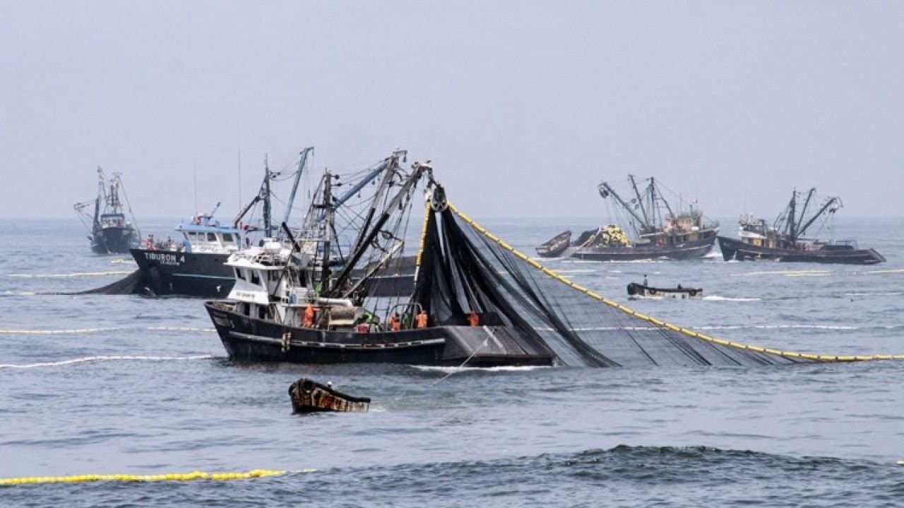 Crise sans précédent du secteur de la pêche en Espagne
