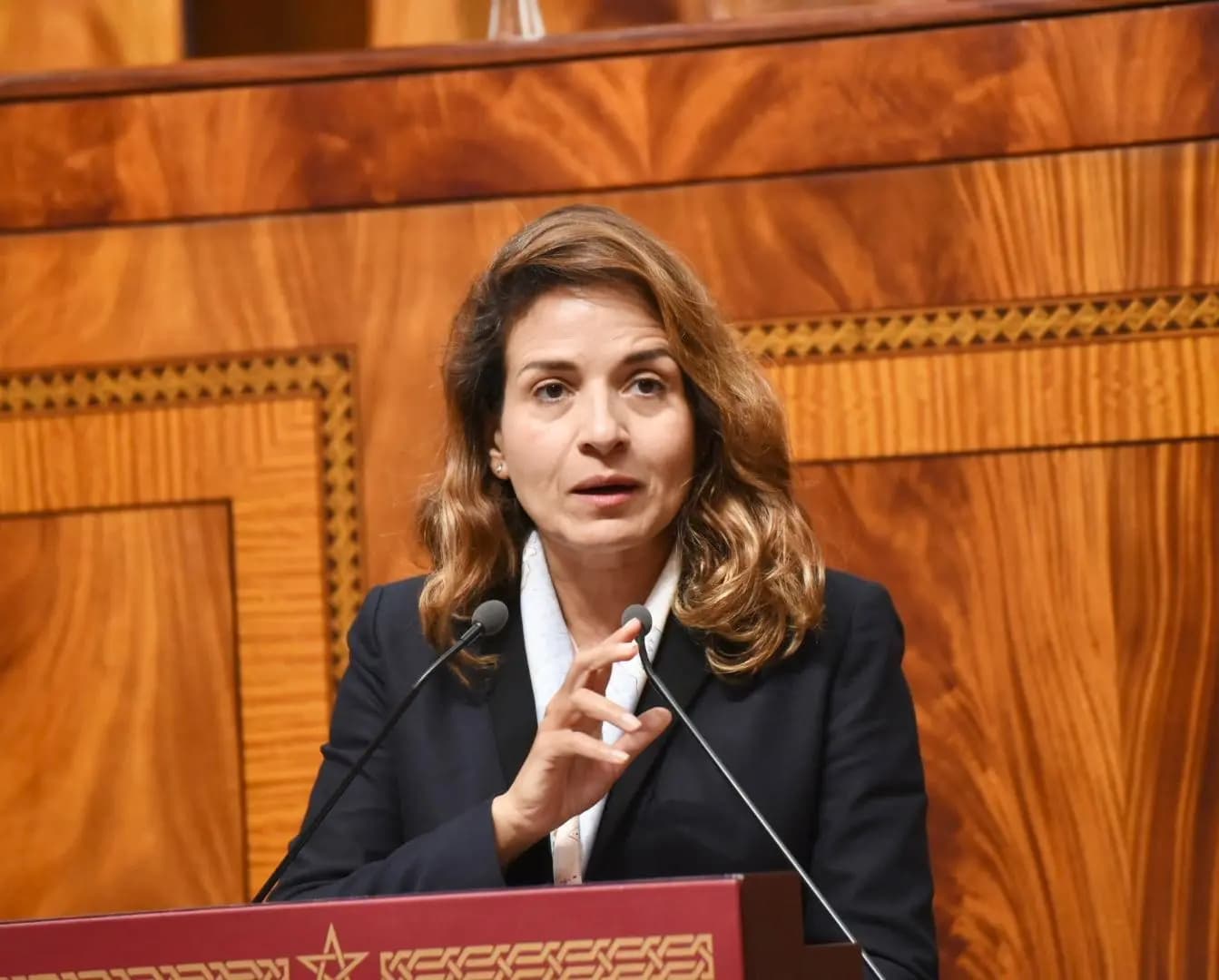 La publication du tarif électrique réduit la facture énergétique, selon Mme Benali