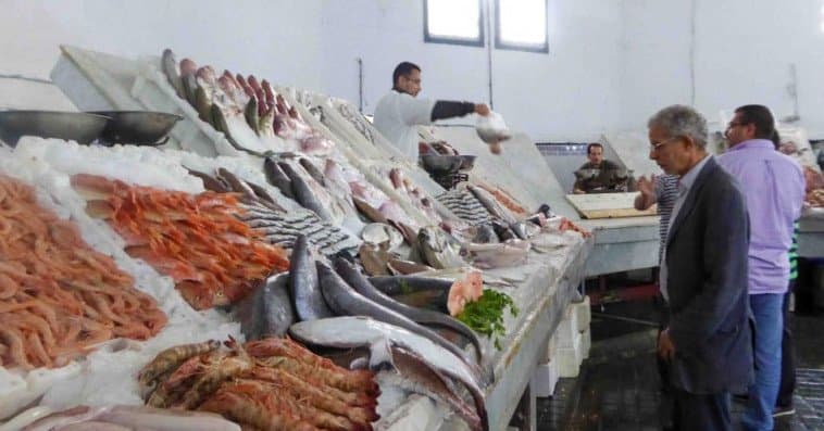 Ramadan 2025 : Poisson congelé à partir de 17 dirhams