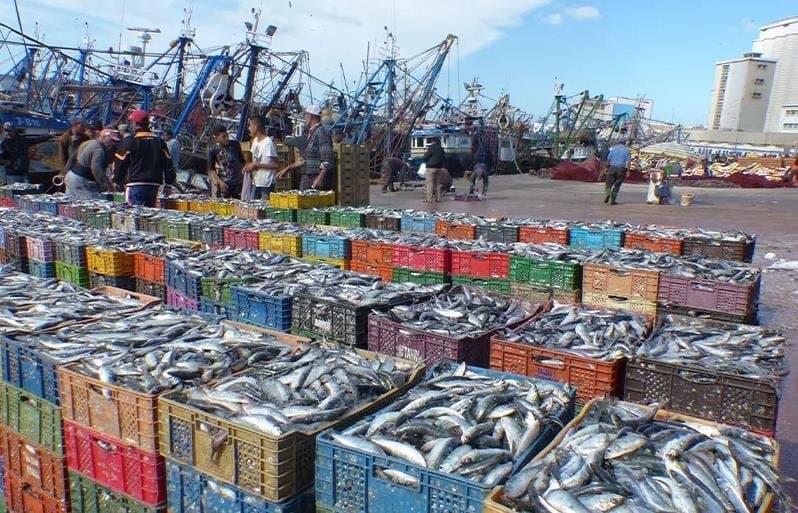 Le Maroc atteint 1,42 million de tonnes de produits maritimes en 2024