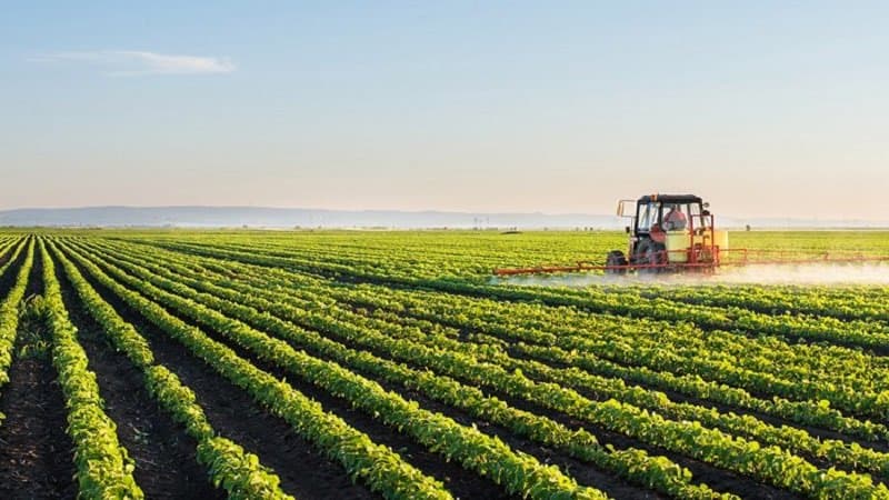 Une nouvelle usine d'Agri Trade Maroc à Meknès