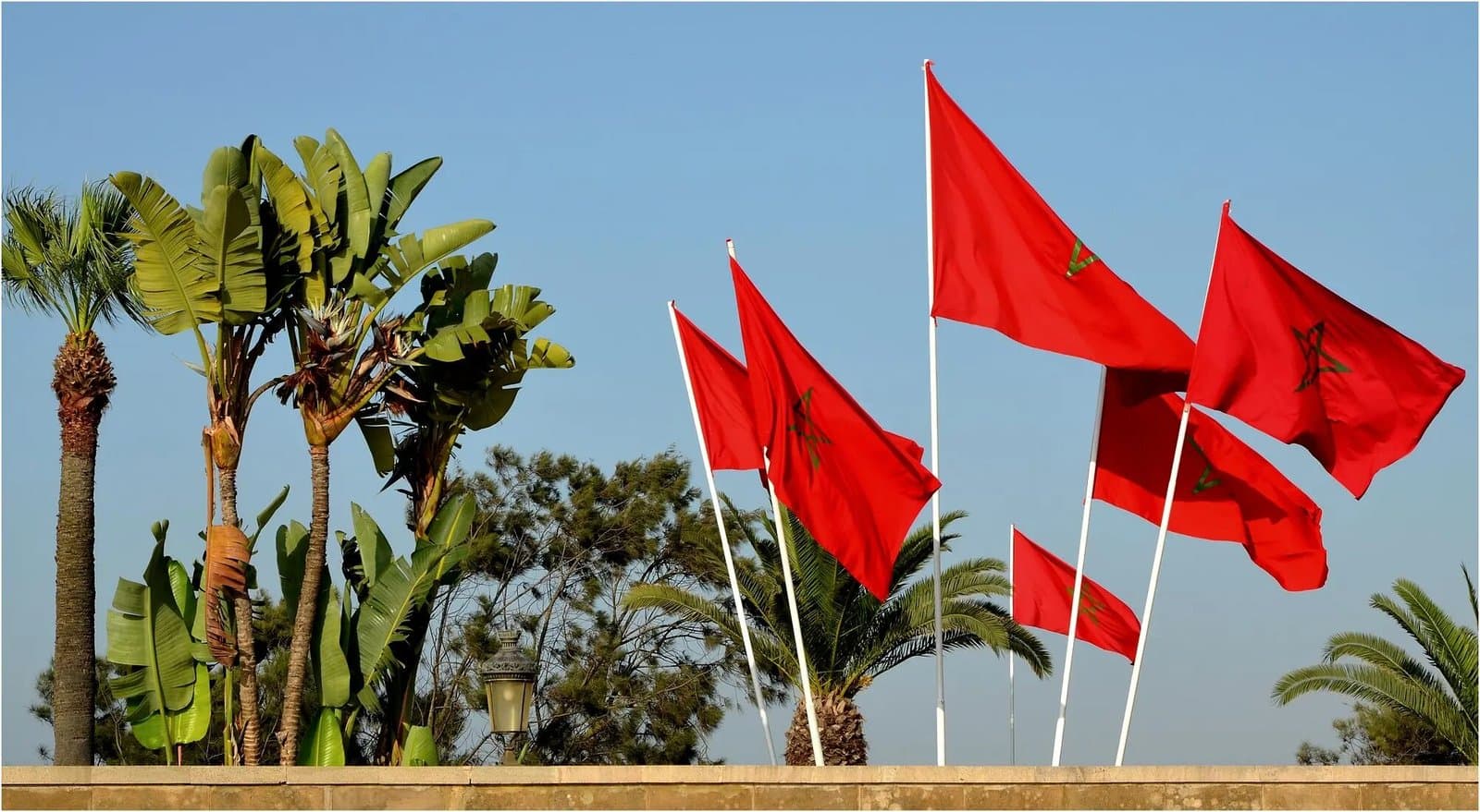 Addis-Abeba: rencontre Maroc–CEA sur l’agenda continental