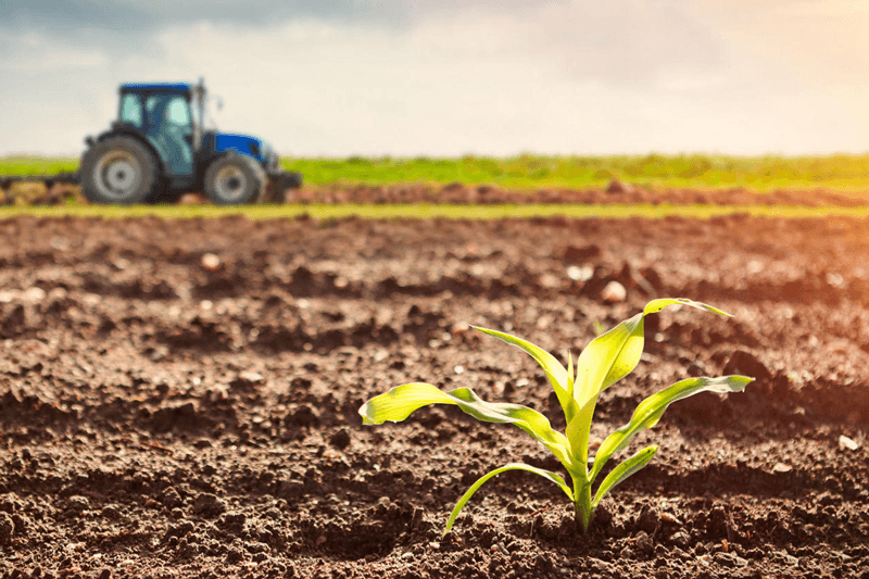 Des cartes intelligentes pour les sols agricoles marocains