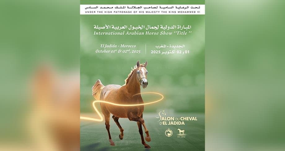 Salon du Cheval: El Jadida au sommet international