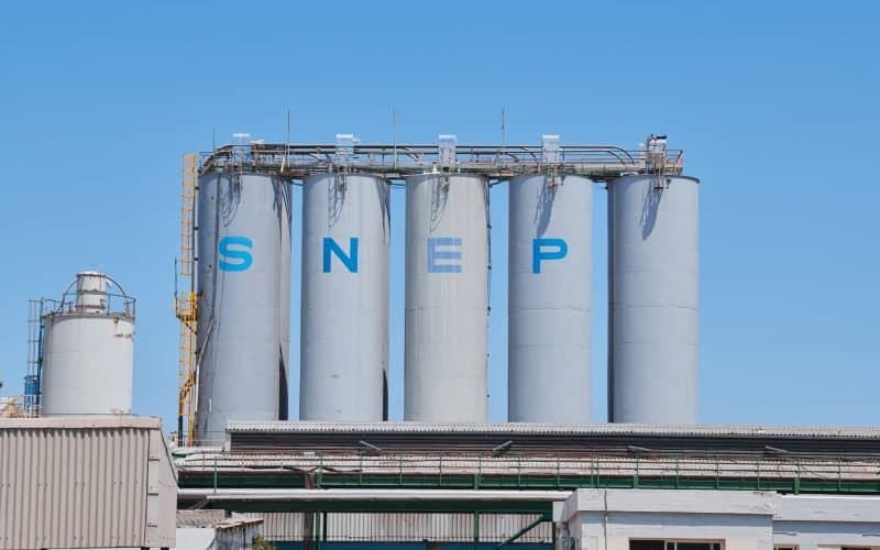 SNEP: les pertes doublent malgré la reprise des ventes