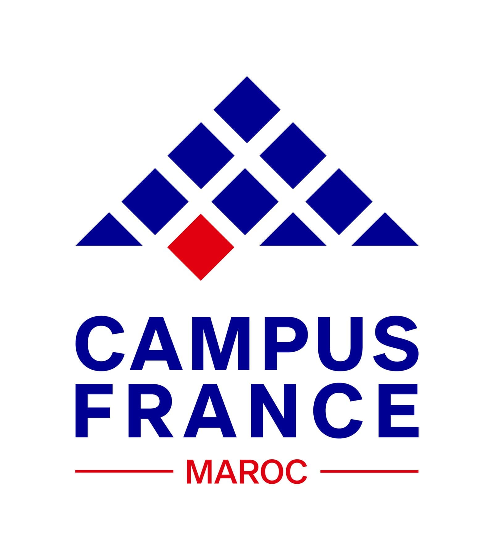 Les étudiants marocains en France reconnus pour leur excellence