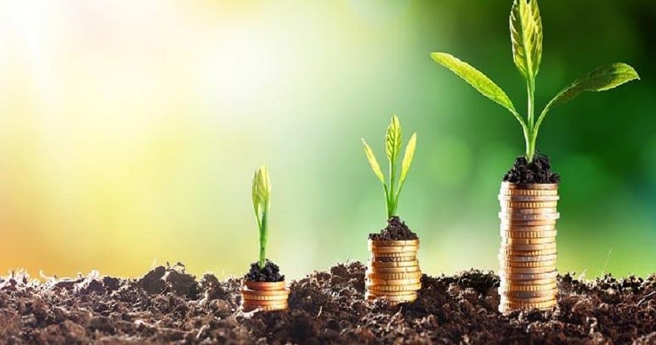 Maroc: étude stratégique agricole 2050 lancée à 10 MMDH