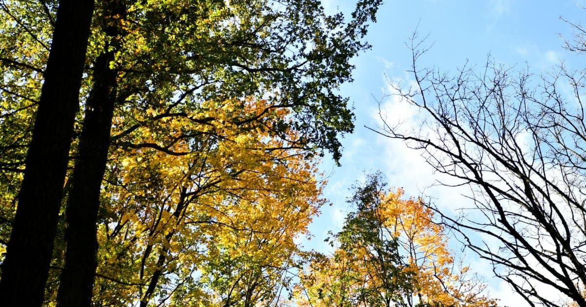 Météo du mercredi 3 septembre: chaleur et vent au programme