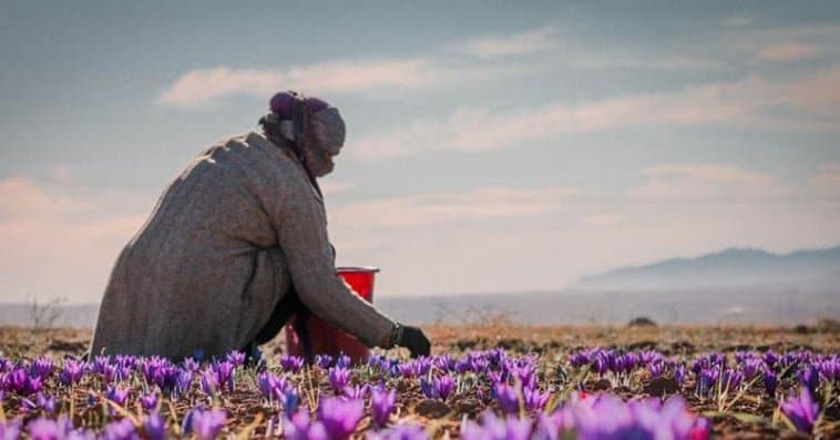 Nouveau label pour les produits naturels marocains