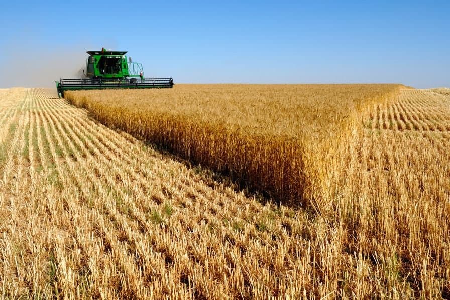 Le Maroc, grand importateur de produits agricoles russes