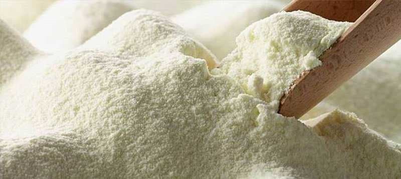 Le Maroc renforce ses exportations de lait vers le Golfe et l’Afrique