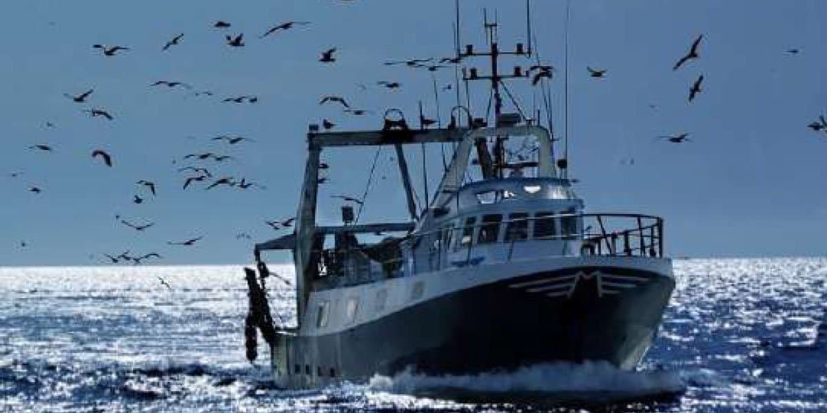 Bruxelles relance les négociations de pêche avec le Maroc