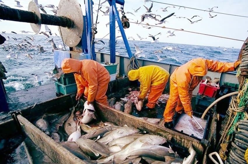 Port d’Al Hoceima : Recul des captures et de leur valeur