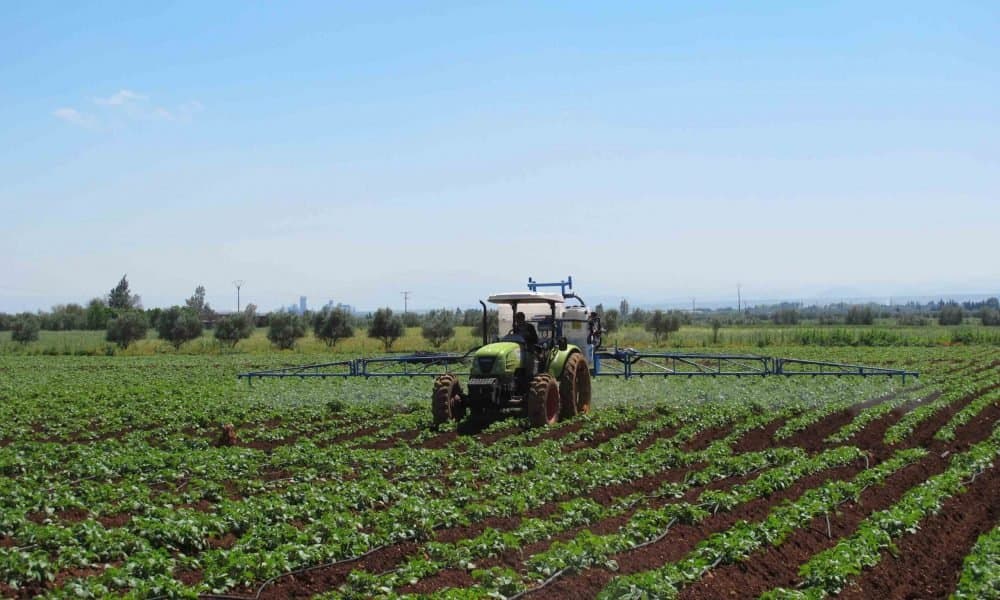 Boujdour: des projets agricoles ambitieux au Sahara