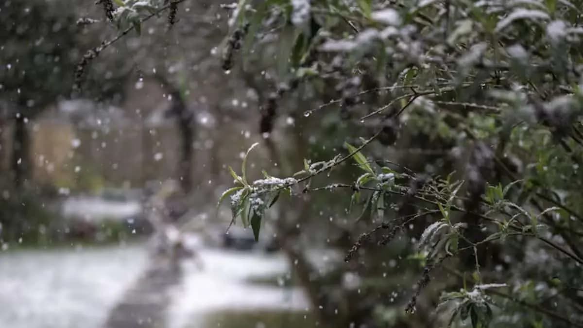 Alerte météo : Pluies, neige et froid intense attendus