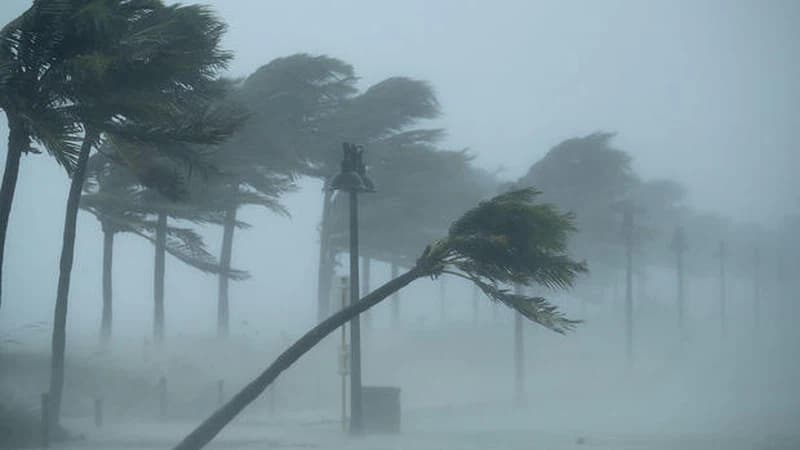Alerte météo: Fortes pluies et vents violents